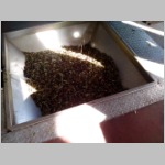 ... zur Ölmühle! ... zur Ölmühle!